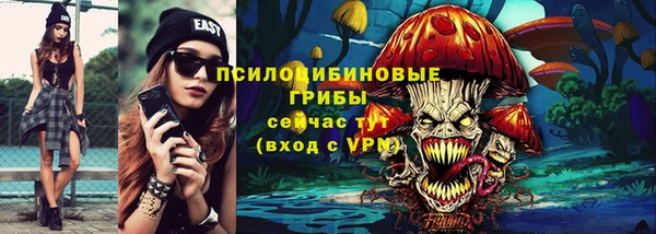 крисы Аркадак
