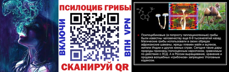 Псилоцибиновые грибы Psilocybe Уржум